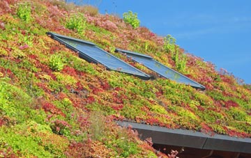 Killingbeck living roof systems